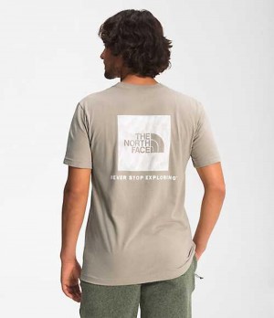 Camiseta The North Face Box NSE Hombre Gris | 1354689-DW