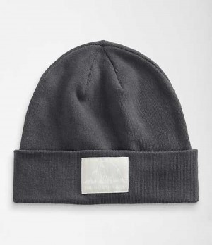 Gorro The North Face Dock Worker Recycled Mujer Gris Blancas | 5409638-KU