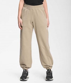 Pantalon The North Face City Standard Mujer Gris | 8520164-GD